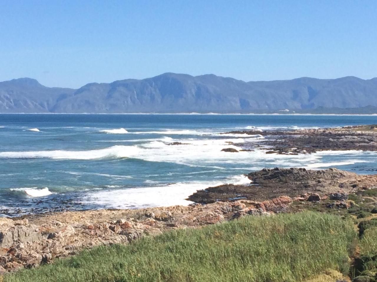 Royal Albatros Apartment Gansbaai Exterior foto