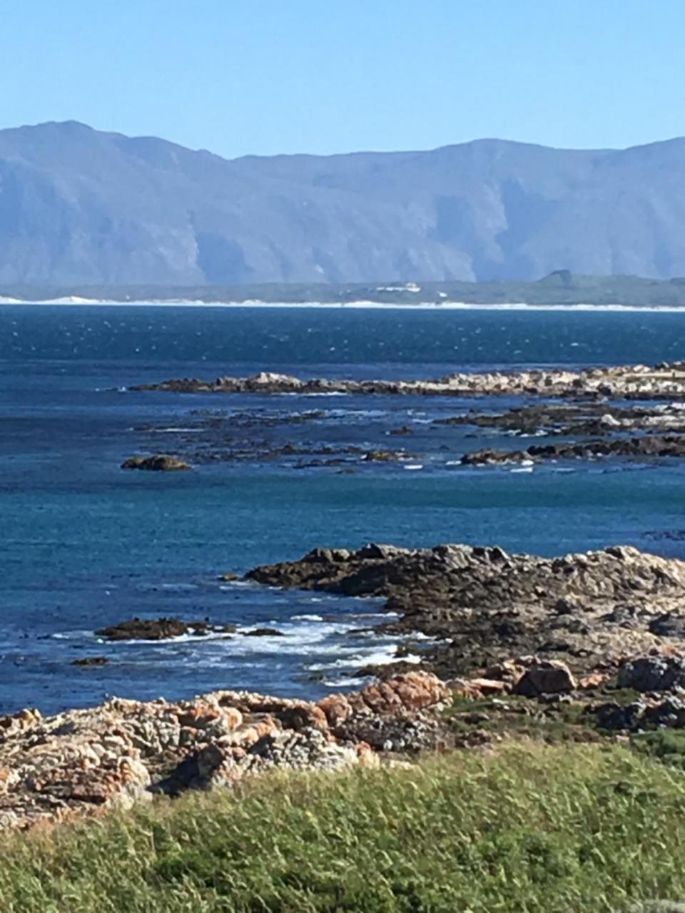 Royal Albatros Apartment Gansbaai Exterior foto
